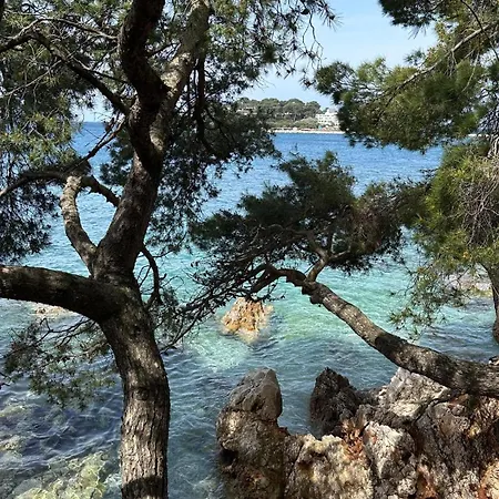 Moderne Mali Dvor Mit Pool 500m Am In Porec *
